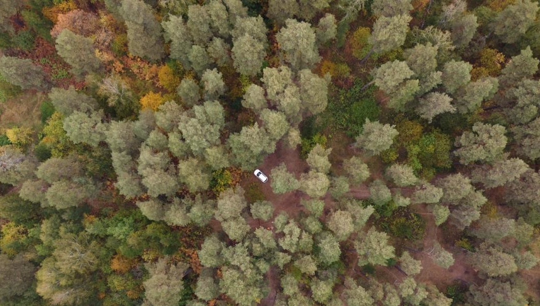 Решение о прокладке нового природного маршрута приняли после того