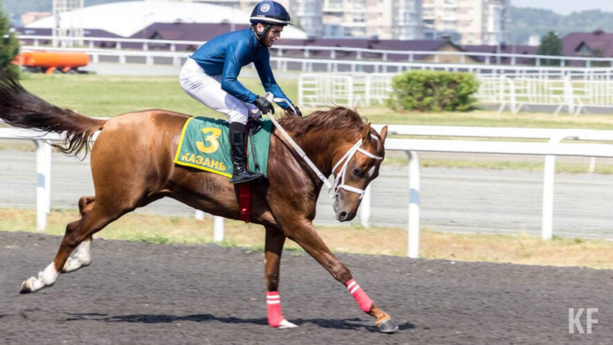 Из здания ипподрома была изъята документация и техника.