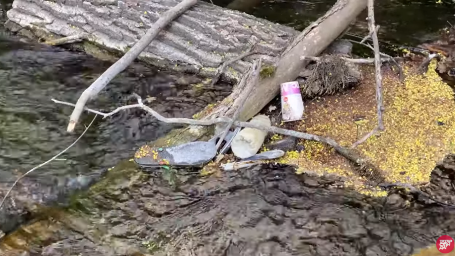 Специалисты выступают за то