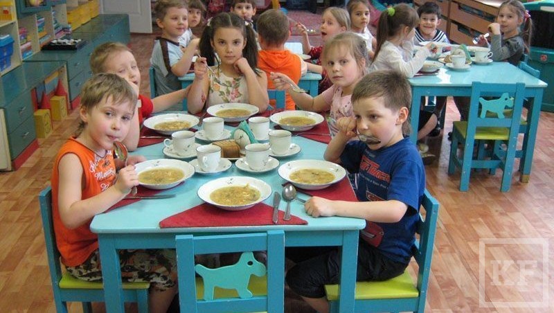 Вопрос питания в детских садах и школах Татарстана теперь находится под контролем депутатов Госдумы