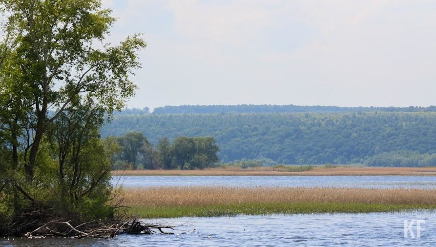 Тело ребенка в реке обнаружили местные жители.