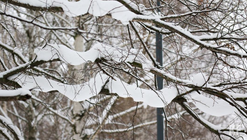 Сумма ущерба составила 170 тысяч рублей.