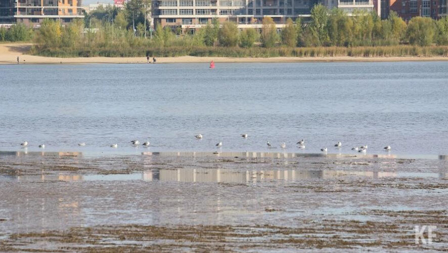 Превышений предельно-допустимых концентраций загрязняющих веществ не выявлено.