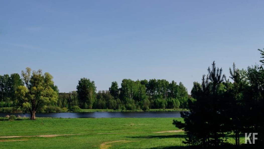 Эксперты рассказали