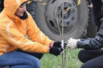 Женщина убеждена: рубят здоровые деревья