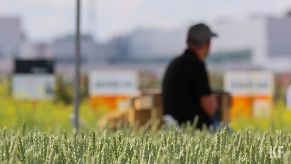 Приложение создано