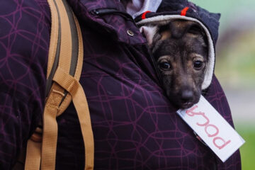 В правительстве подчеркнули