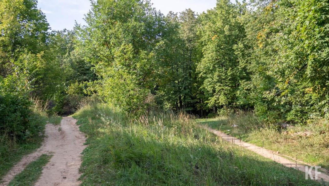 Юношу доставили больницу с травмами челюсти