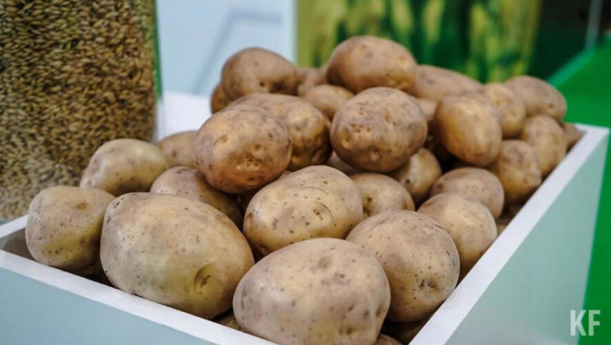 Скачок цен ожидается уже на следующей неделе.