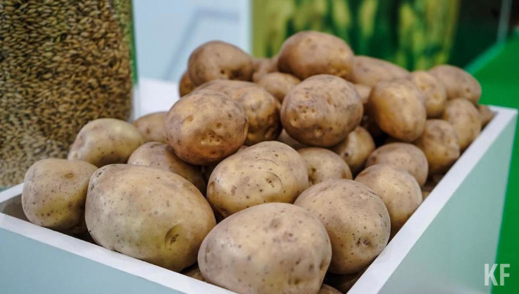 Скачок цен ожидается уже на следующей неделе.