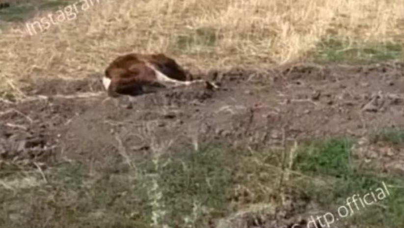 Там сообщили