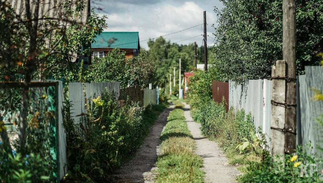 Закон распространяется на садоводческие и огороднические товарищества