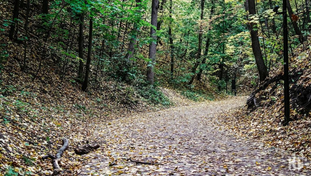 В центральном месте культуры и отдыха благоустроят не только вход