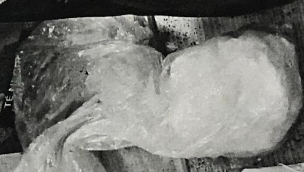 Стоимость такой партии оценивается в 1