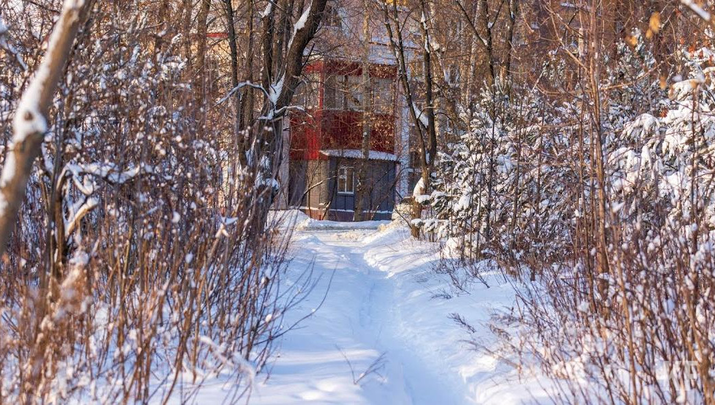 Синоптики предупредили о февральских погодных аномалиях в ряде регионов.