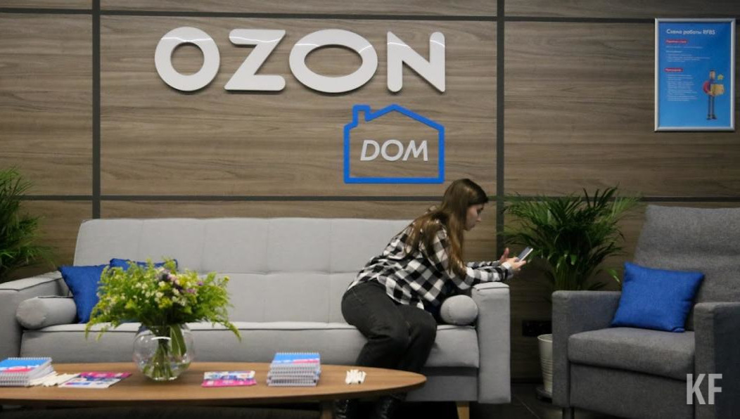 В Ozon часто брали электронные товары для хобби и отдыха