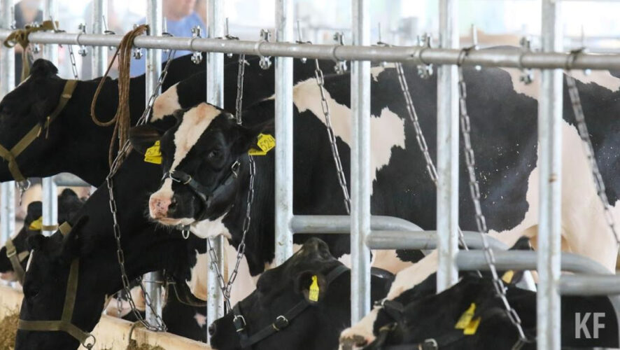 Деньги получили по федеральной программе.