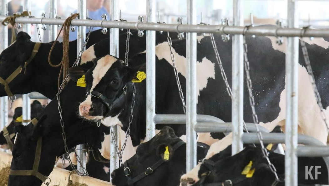 Деньги получили по федеральной программе.