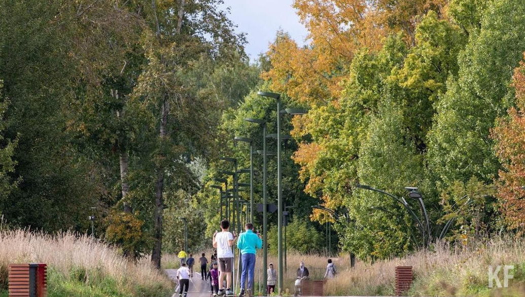 Циркуляция возбудителя инфекции установлена уже на территории 62 регионов России.