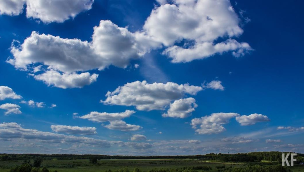 Яровой сев составил 1