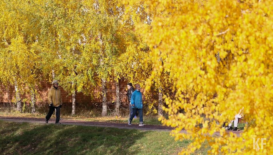 Всего восстановление провели на 3855 гектарах.