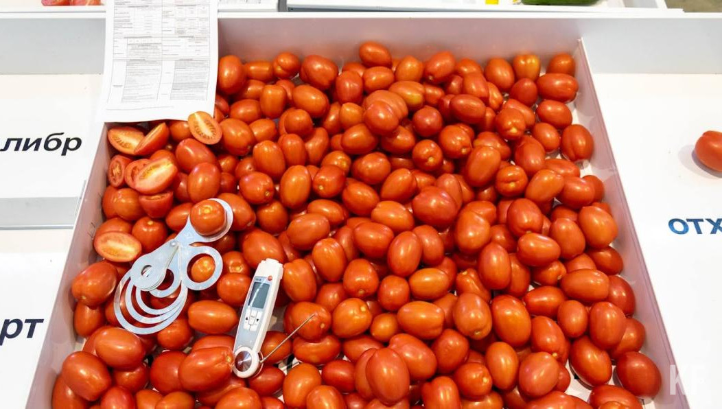 В подобном товаре могут быть заинтересованы производители кормов и удобрений.