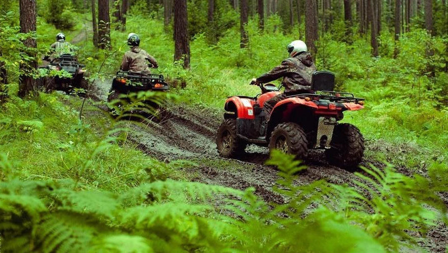 Общественники и специалисты говорят об уникальности Шильнинского леса. Но пока их взгляды не совпадают с приоритетами властей. А жители округи и любители погонять на квадроциклах постепенно превращают зеленый массив в пустыню.