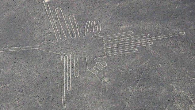 Всего на&nbsp;плато Наска обнаружено около 800 фигур.