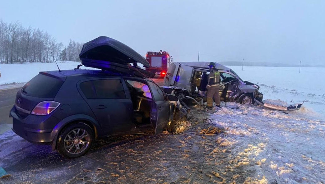 Поручение дали бугульминскому городскому прокурору.