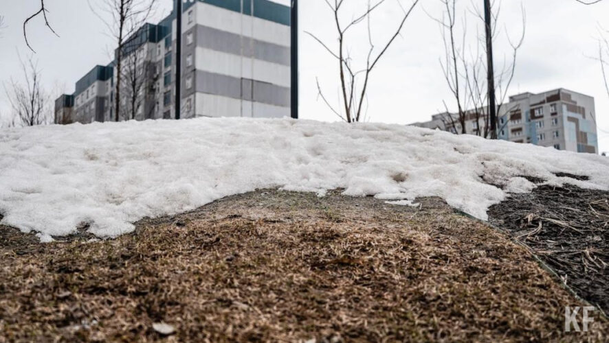 Доцент КФУ рассказал