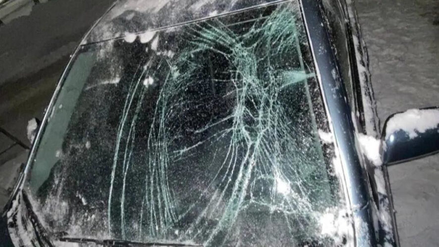 Речь идет об &laquo;Электротехникове&raquo; и &laquo;Жилкомсервисе&raquo;.