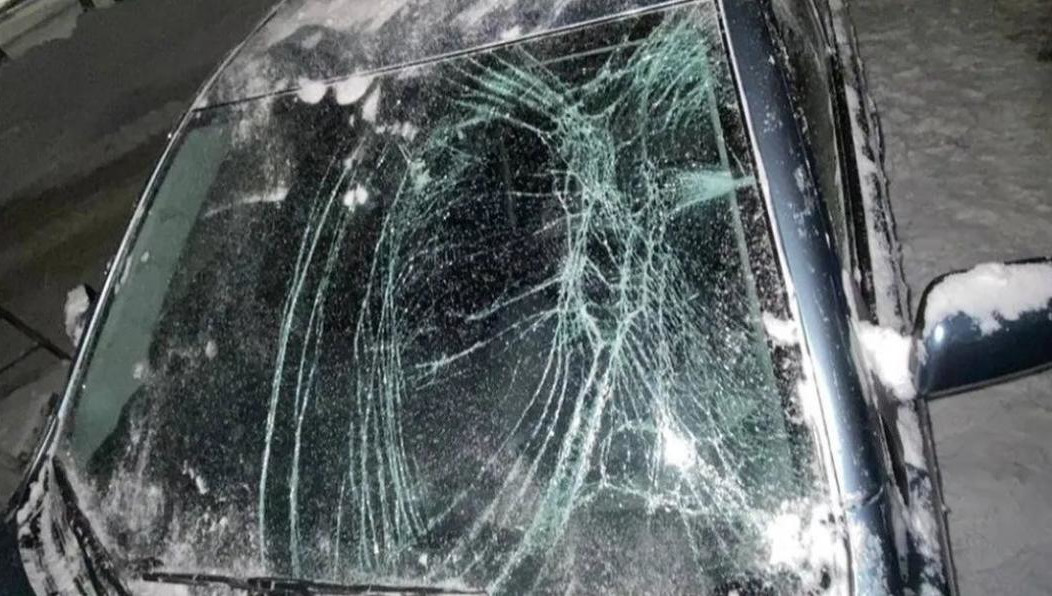 Речь идет об «Электротехникове» и «Жилкомсервисе».