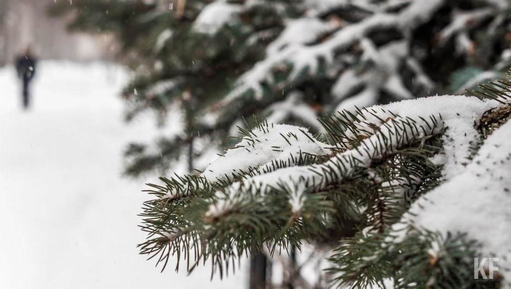 Нарушители также должны возместить нанесенный лесам вред.