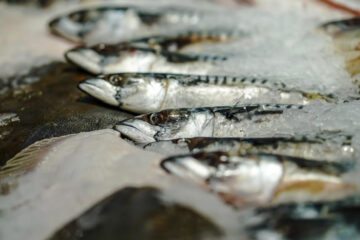 За год объемы ловли и переработки Мамадышского рыбзавода увеличились на 7 процентов.
