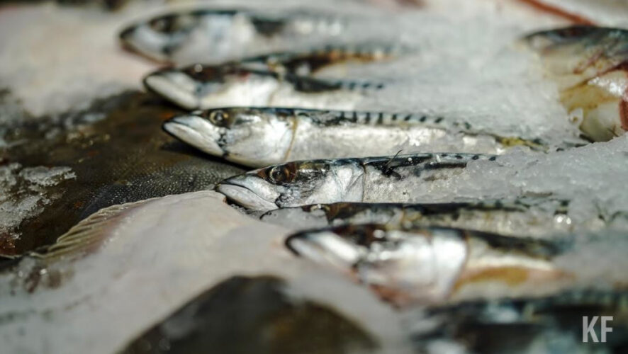 За год объемы ловли и переработки Мамадышского рыбзавода увеличились на 7 процентов.