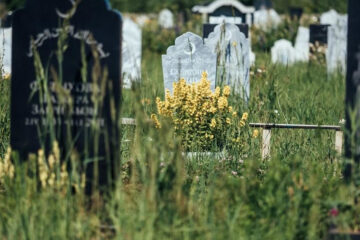 Навестить могилы родных жители республики могут с 6 мая.
