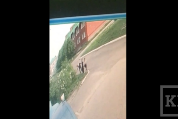 На видеозапись попало как мужчина швыряет животное через дорогу и уходит.