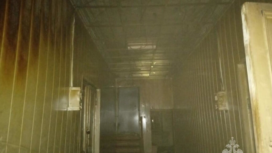 По предварительной версии