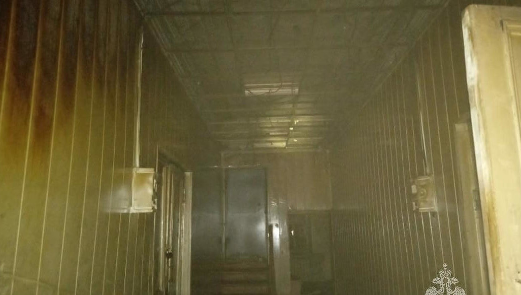 По предварительной версии