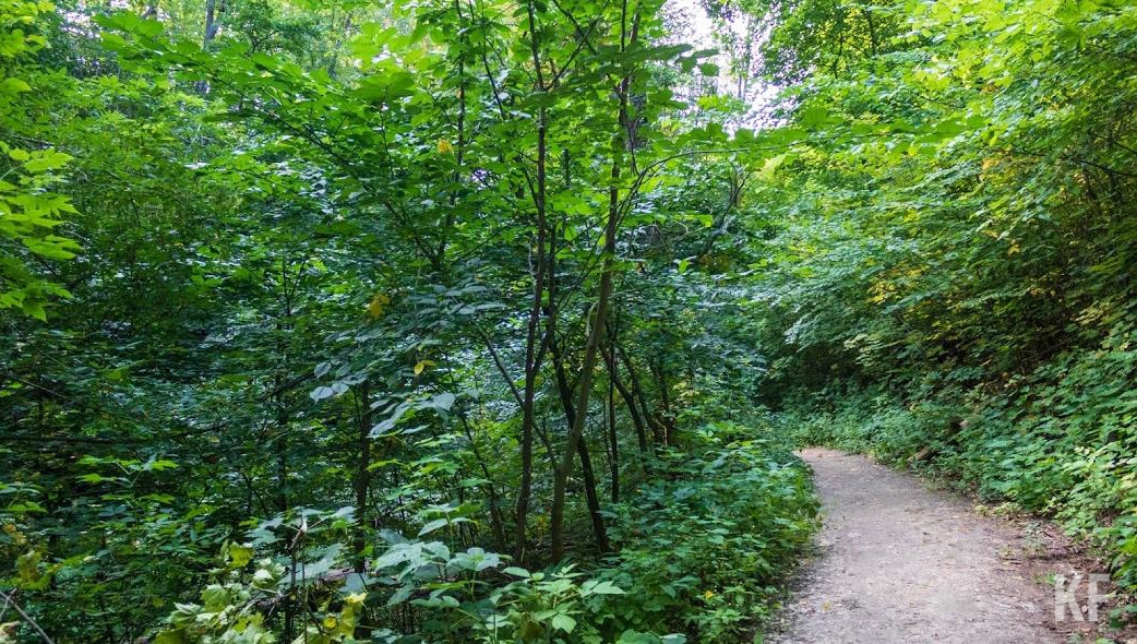 Группа крови человека значения не имеет.