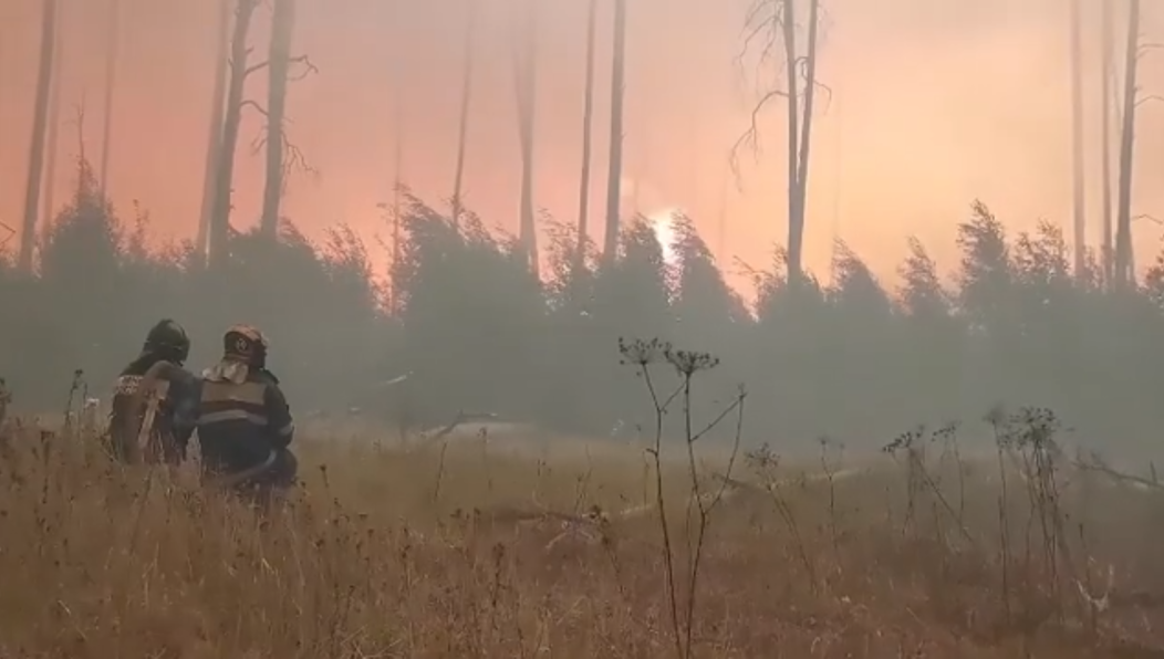 Он также выразил благодарность сотрудникам МЧС России
