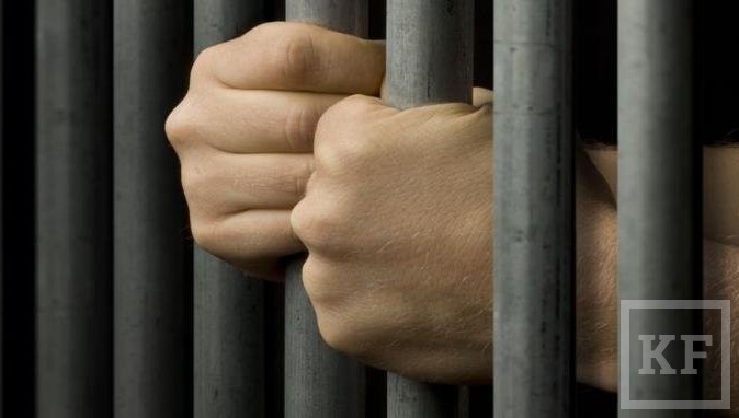 К 12 годам лишения свободы приговорил суд 44-летнего жителя Балтасинского района РТ