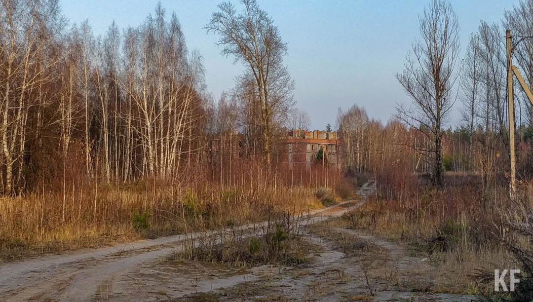 Большaя часть границы проходит по лесным массивам