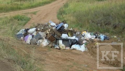Нижнекамцы пожаловались в «Народный контроль» на растущие мусорные свалки. Бытовым мусором завалена дорога