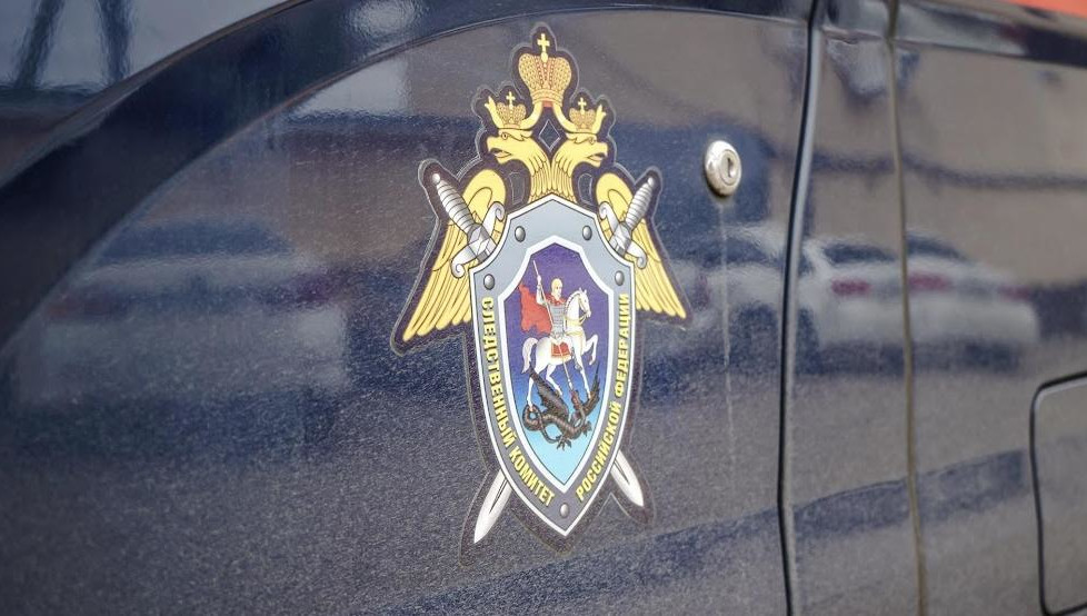 Против женщины возбуждено уже два уголовных дела.