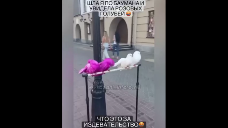 Одна из жительниц возмутилась