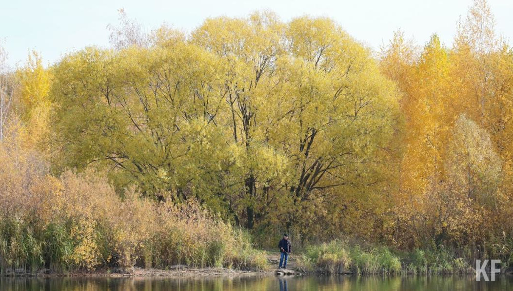 Также надо предоставлять выписку о результатах медицинского освидетельствования