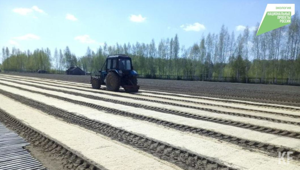 Всего посев семян в этом году планируют осуществить на площади 21 гектар.