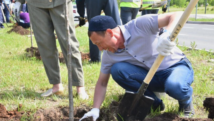 В посадке саженцев участвовал Рамиль Муллин.