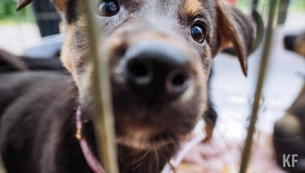 С начала года от граждан поступило порядка 350 обращений.